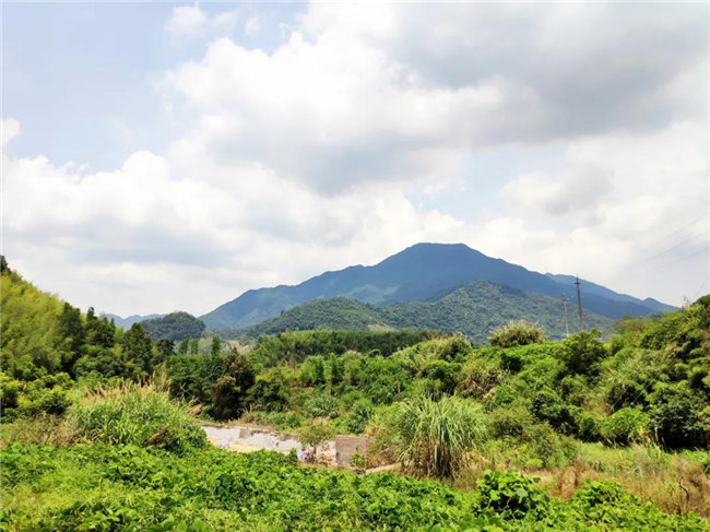 呼吸鮮氧，踐行公益——廣東博皓公益活動：星溪線公益環?；顒?  -6