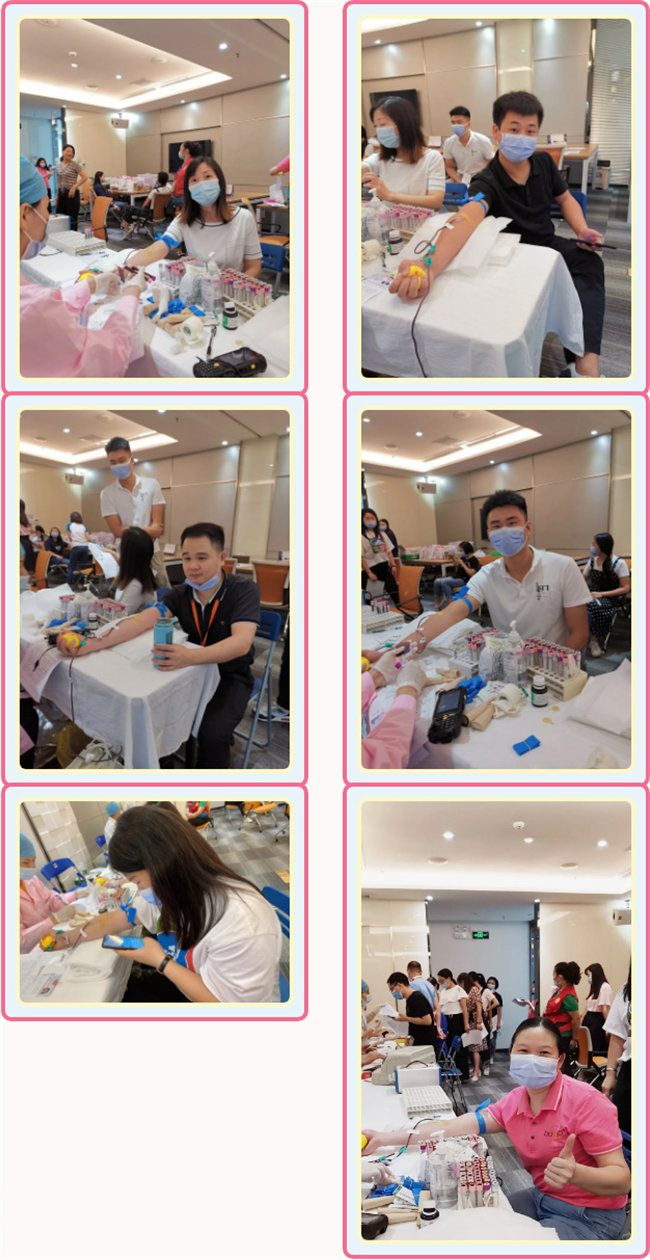 捐獻青春熱血，彩繪人生畫卷——廣東博皓總班委組織了一次“捐我熱血，呵護生命”的無償獻血公益活動    -3