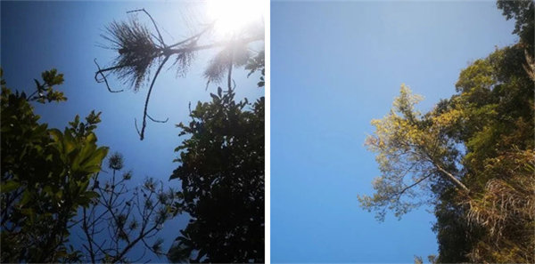 廣東博皓 博行天下丨虎年第一爬,挑戰(zhàn)從化老虎頭 -1