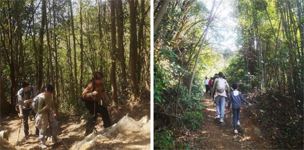 廣東博皓 博行天下丨虎年第一爬,挑戰(zhàn)從化老虎頭 -2